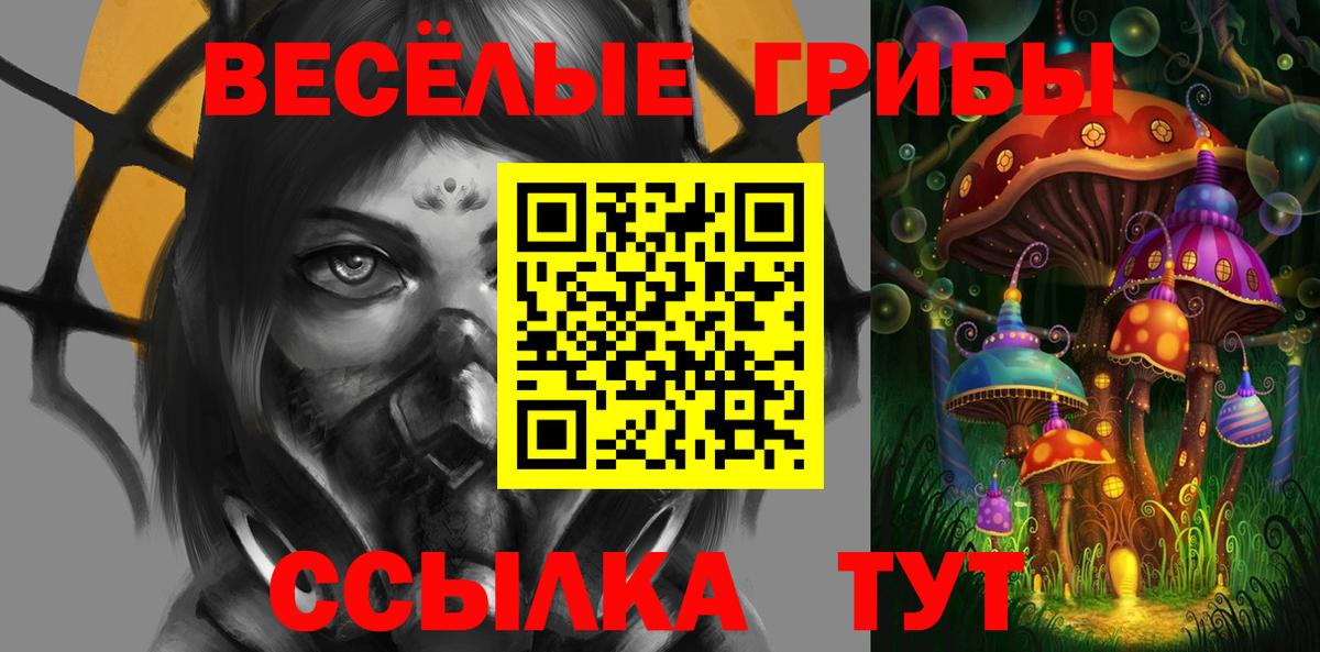 Вязьма  Галлюциногенные грибы MAGIC MUSHROOMS  Вход с VPN 