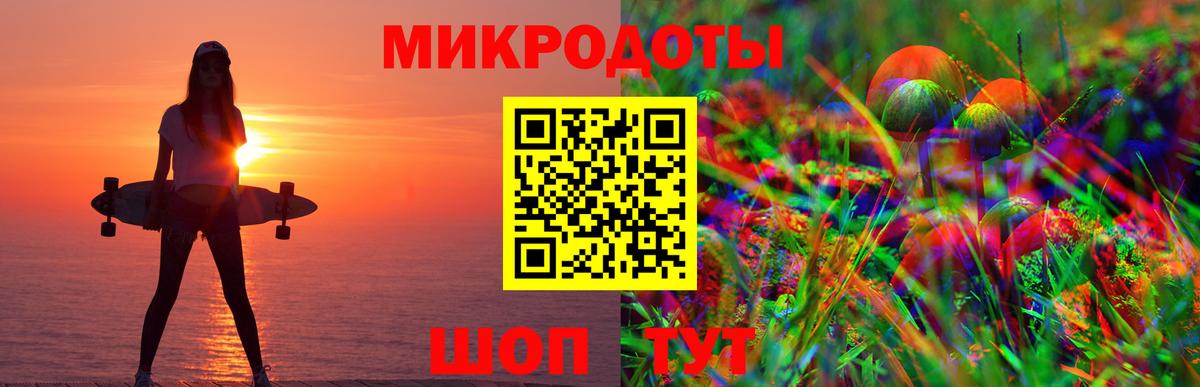 Псилоцибиновые грибы Cubensis Вязьма